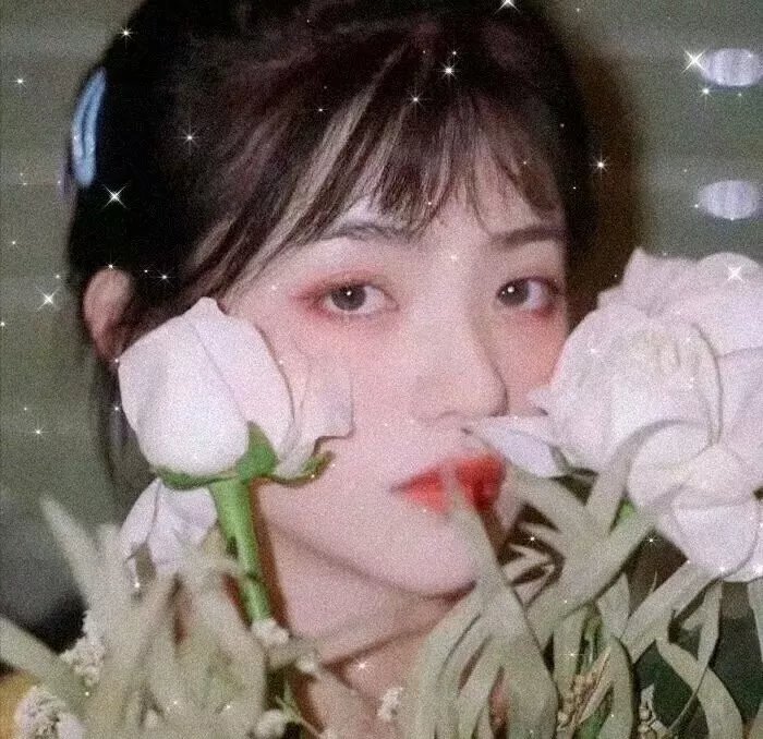 隔离但平等封面