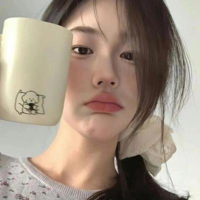 盗贼生涯封面